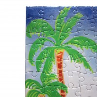Jigsaw Puzzles